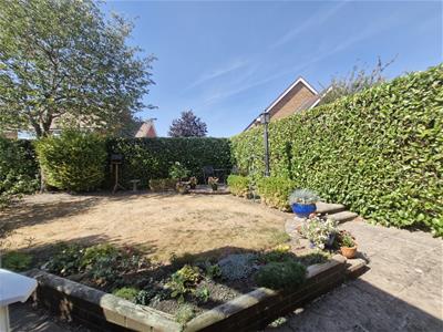 Picture 22